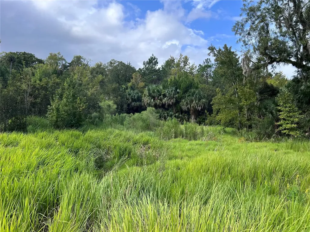 Nfs 73 / Alco Road Astor FL 32102