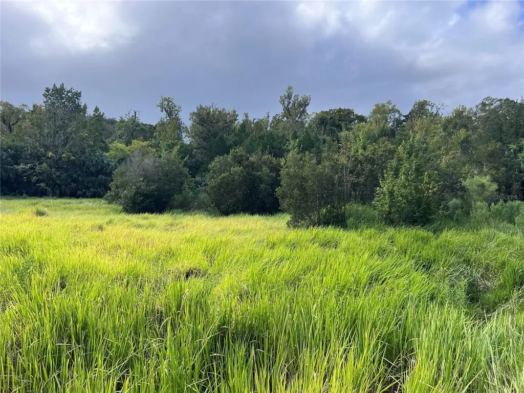 Nfs 73 / Alco Road Astor FL 32102