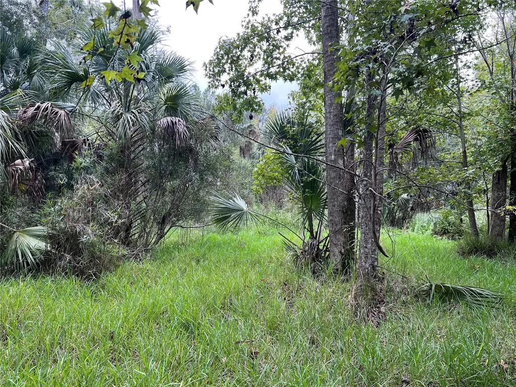 Nfs 73 / Alco Road Astor FL 32102
