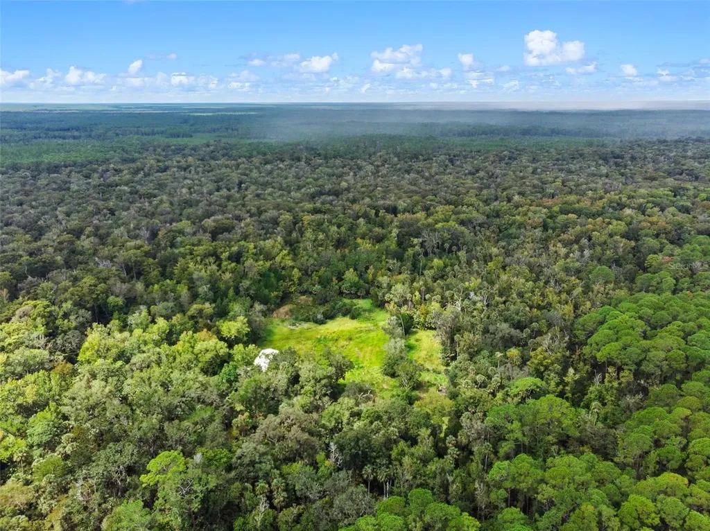 Nfs 73 / Alco Road Astor FL 32102