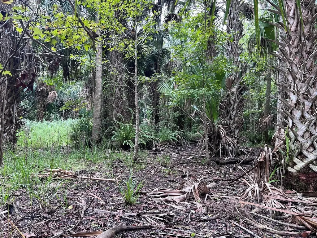 Nfs 73 / Alco Road Astor FL 32102