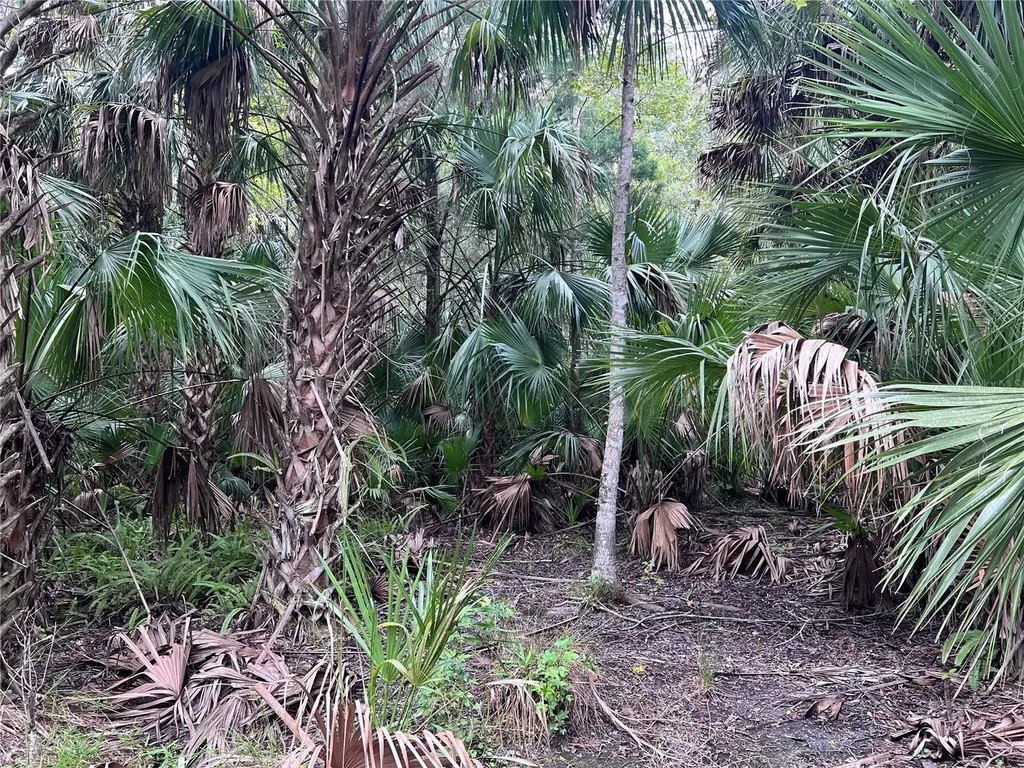 Nfs 73 / Alco Road Astor FL 32102