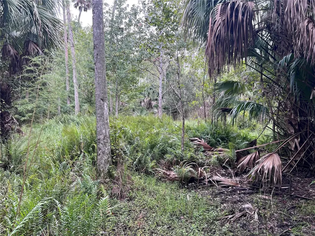 Nfs 73 / Alco Road Astor FL 32102