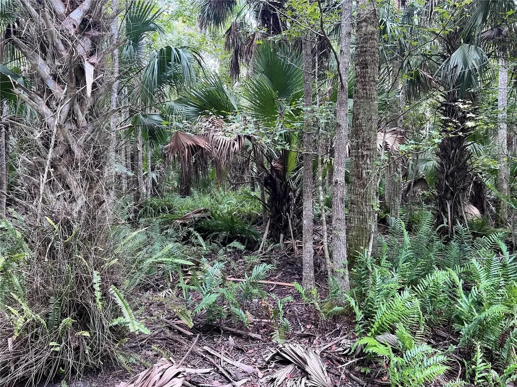 Nfs 73 / Alco Road Astor FL 32102