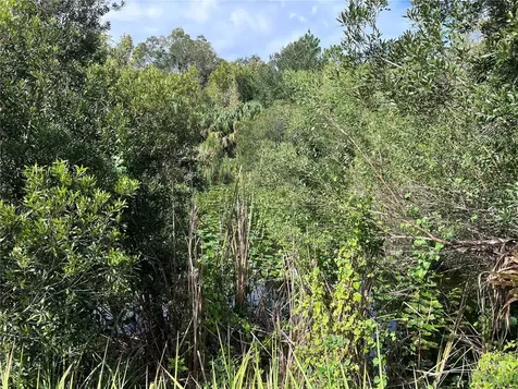 Nfs 73 / Alco Road Astor FL 32102