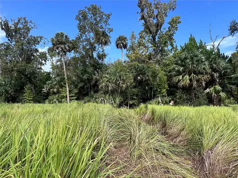 Nfs 73 / Alco Road Astor FL 32102