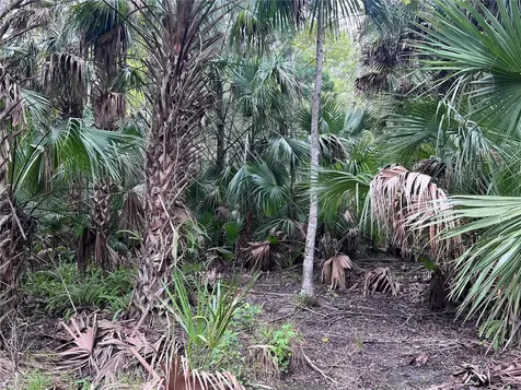 Nfs 73 / Alco Road Astor FL 32102
