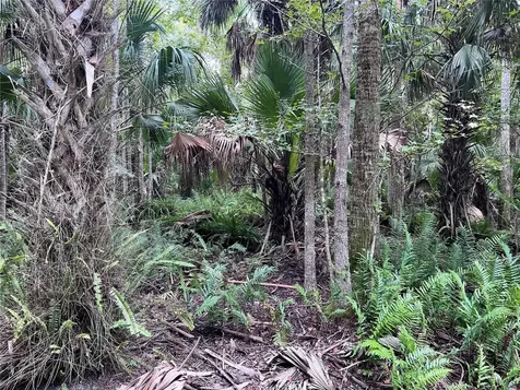 Nfs 73 / Alco Road Astor FL 32102
