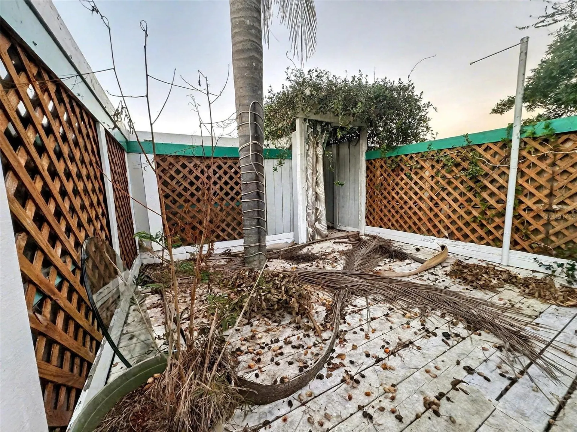 6134 Westport Drive Port Richey FL 34668
