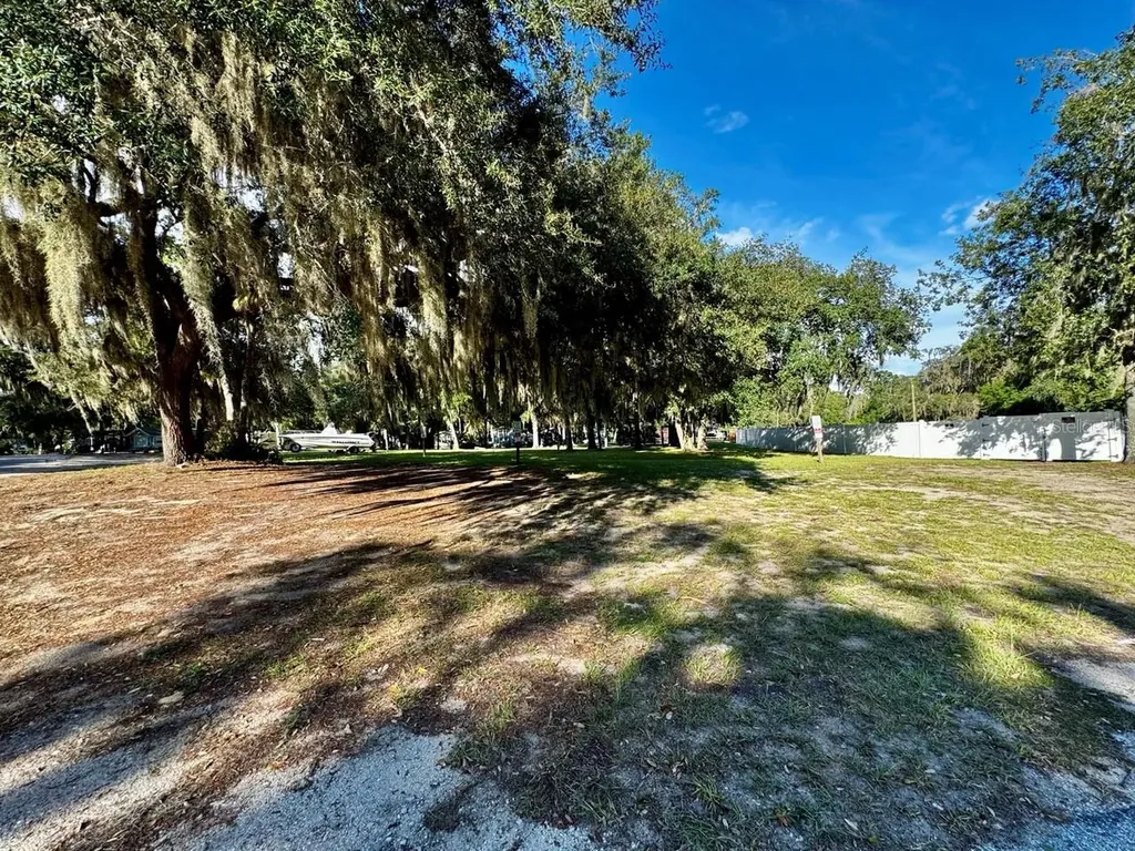 14423 NE 252nd Court Road Salt Springs FL 32134