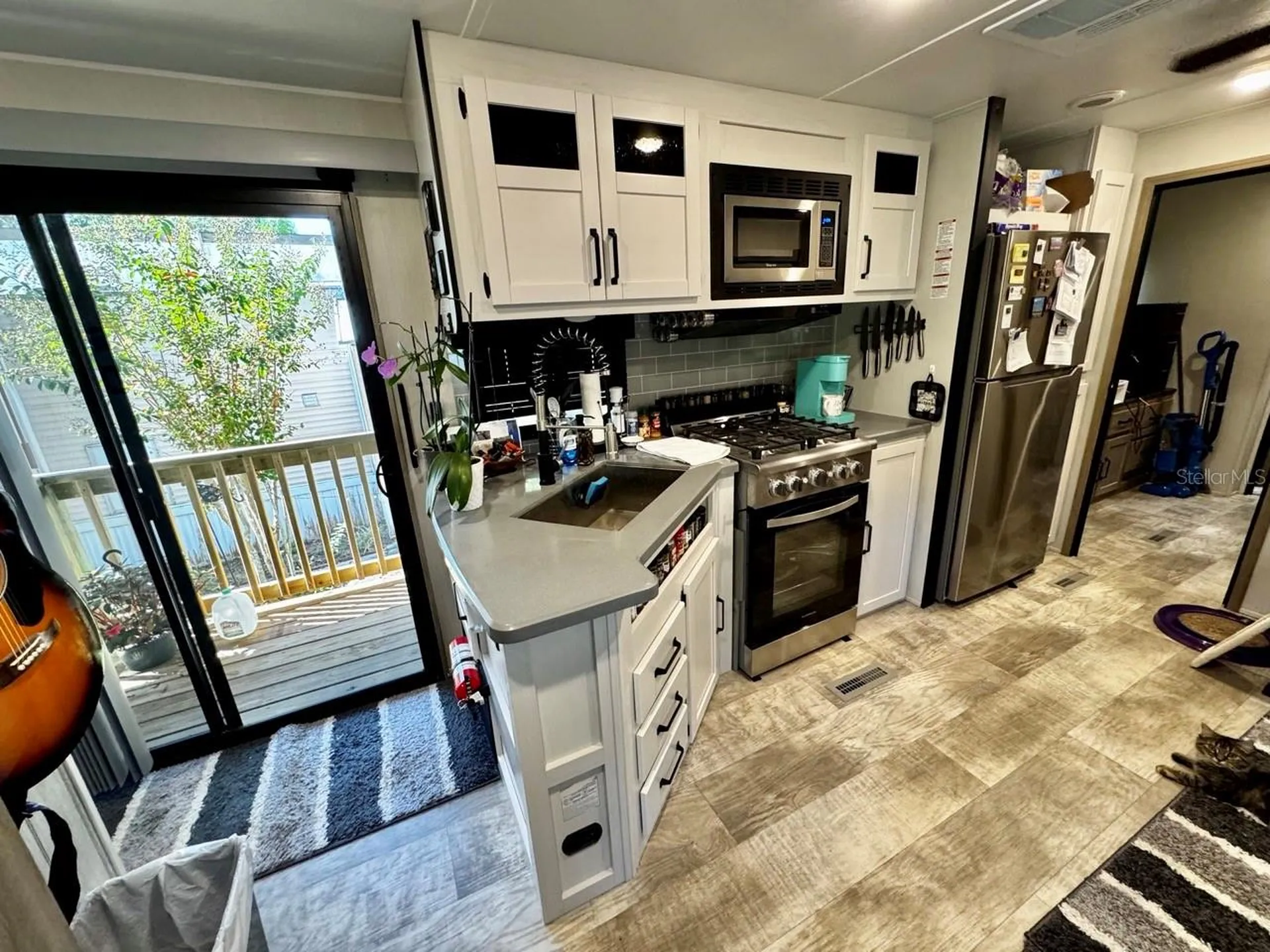 14423 NE 252nd Court Road Salt Springs FL 32134