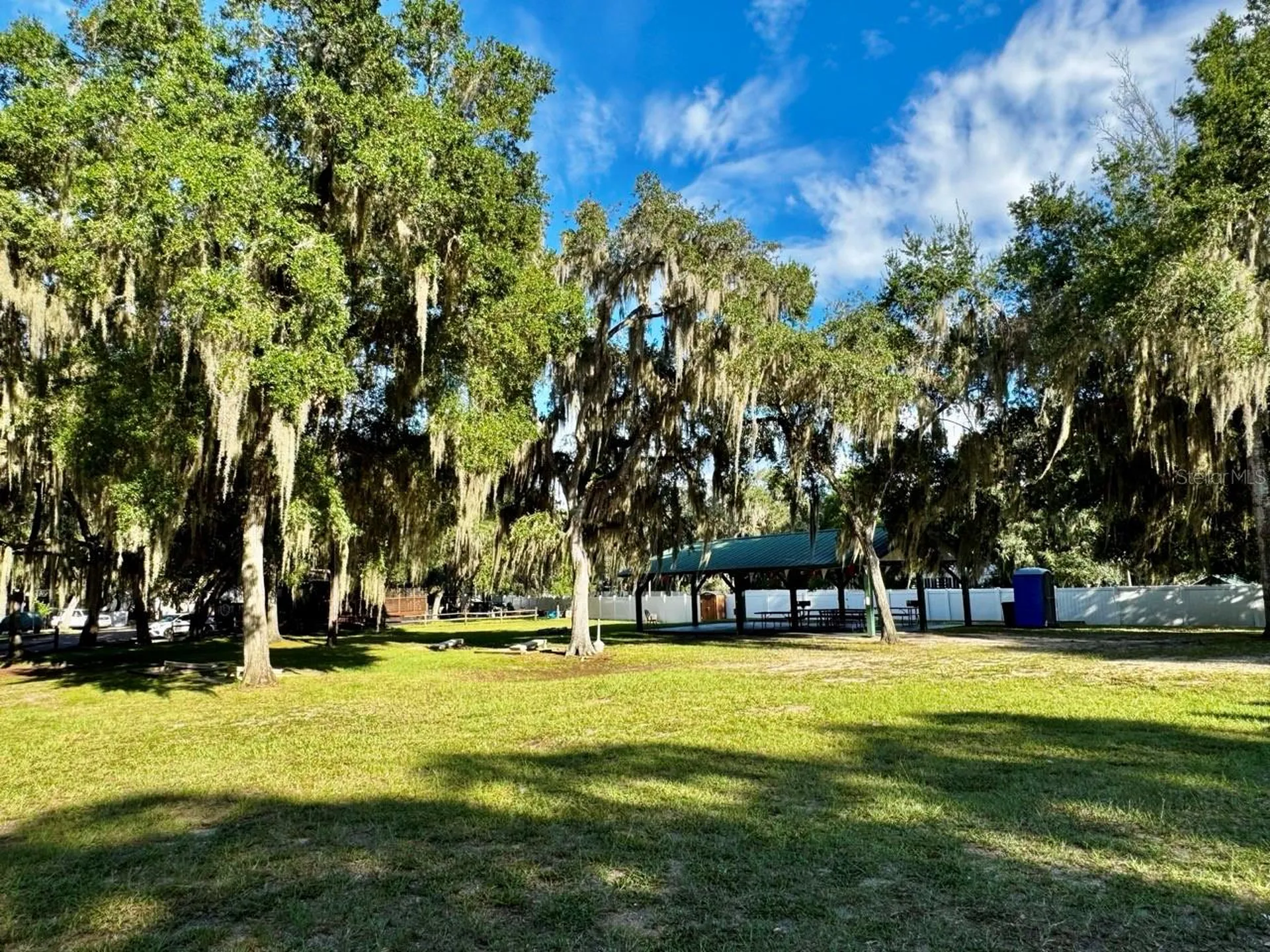 14423 NE 252nd Court Road Salt Springs FL 32134