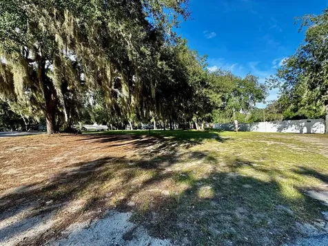 14423 NE 252nd Court Road Salt Springs FL 32134