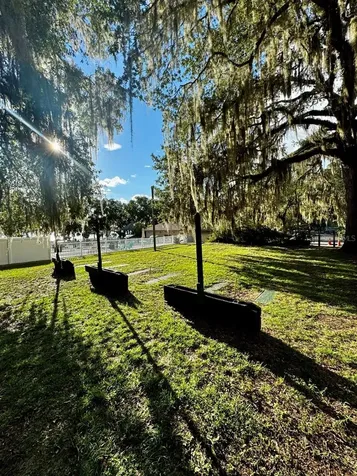 14423 NE 252nd Court Road Salt Springs FL 32134