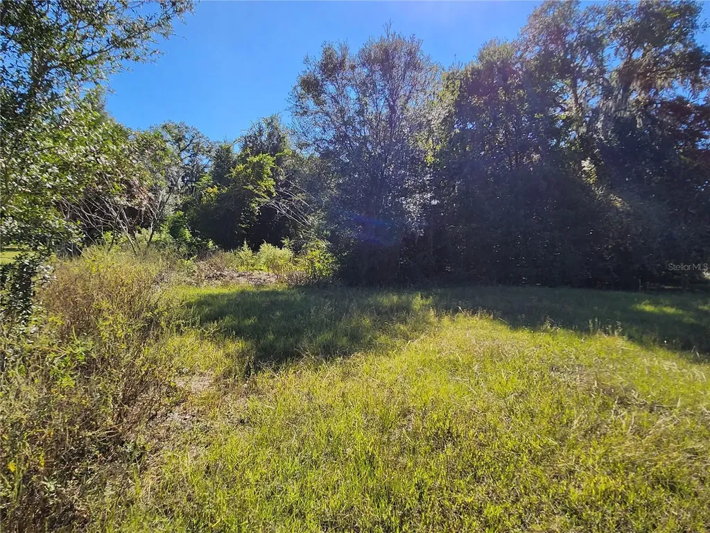Tbd SW 175 Court Dunnellon FL 34432
