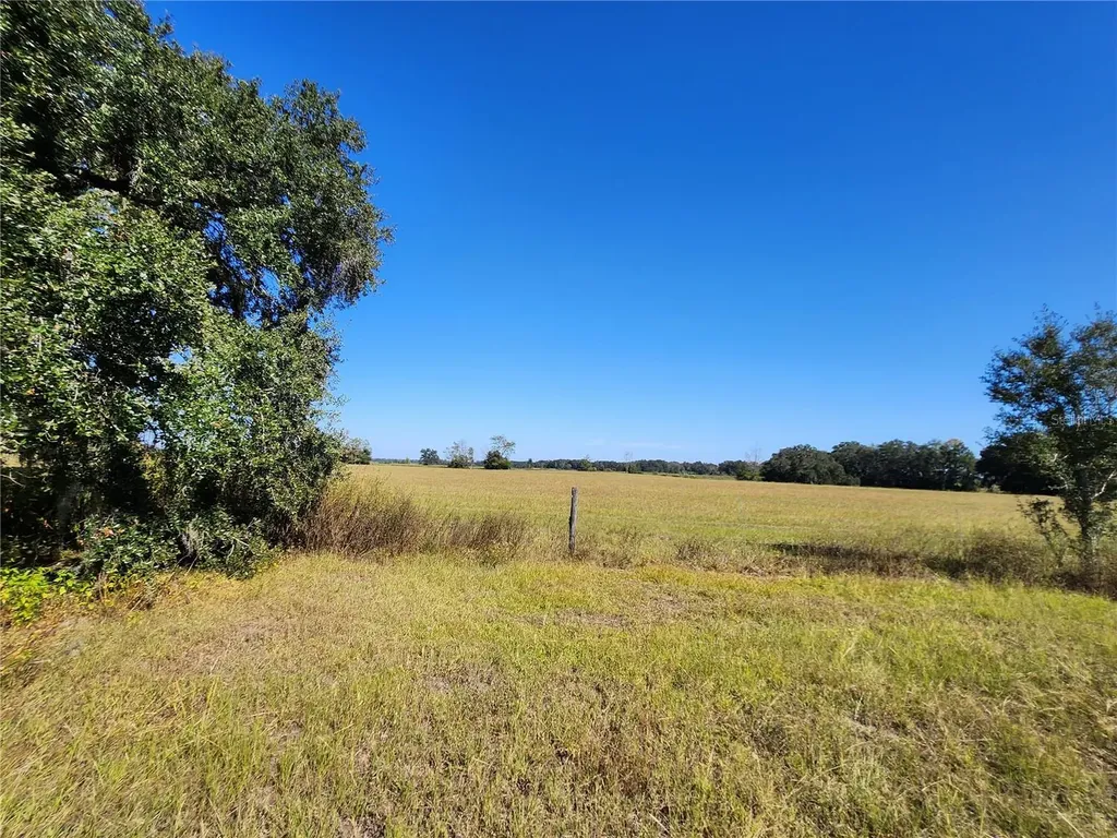 Tbd SW 175 Court Dunnellon FL 34432
