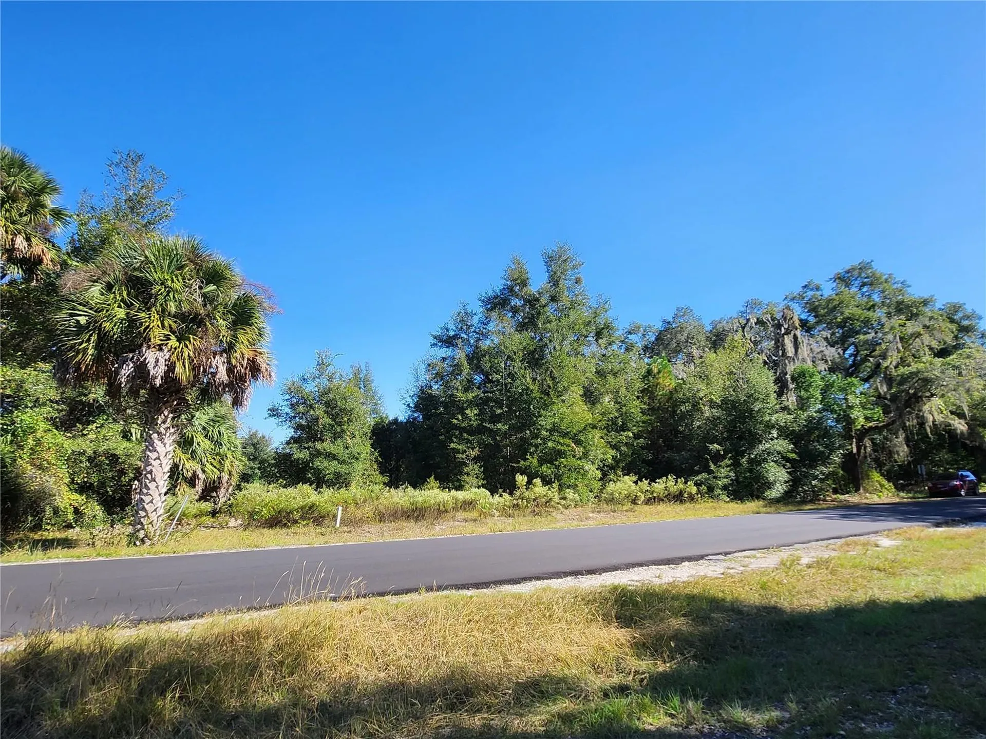 Tbd SW 175 Court Dunnellon FL 34432