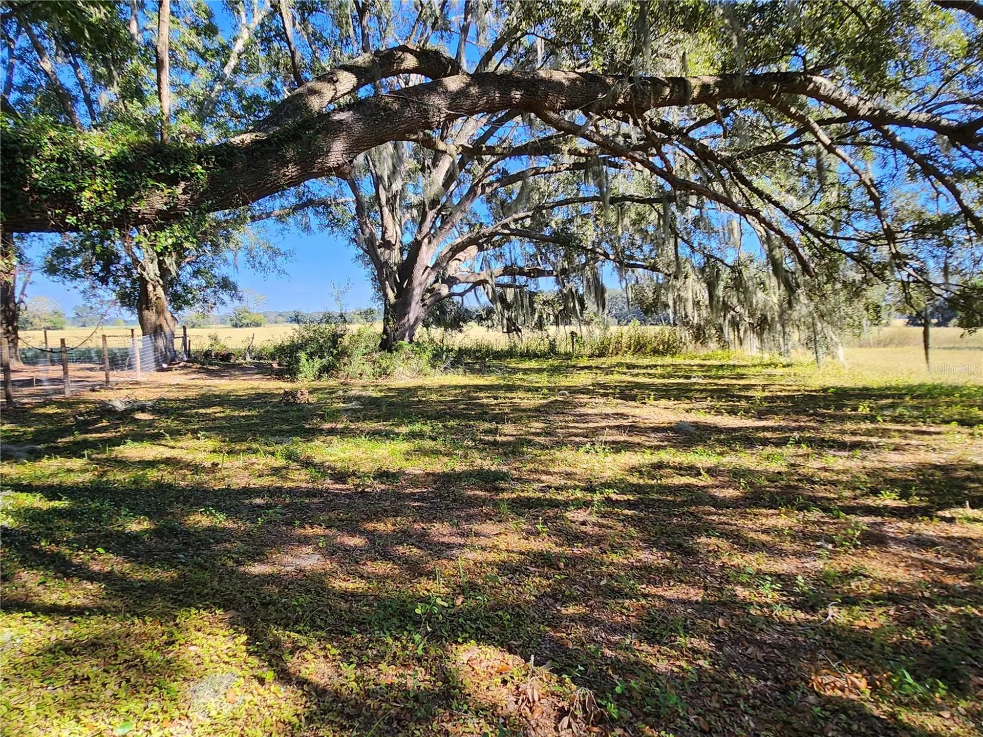 Tbd SW 175 Court Dunnellon FL 34432