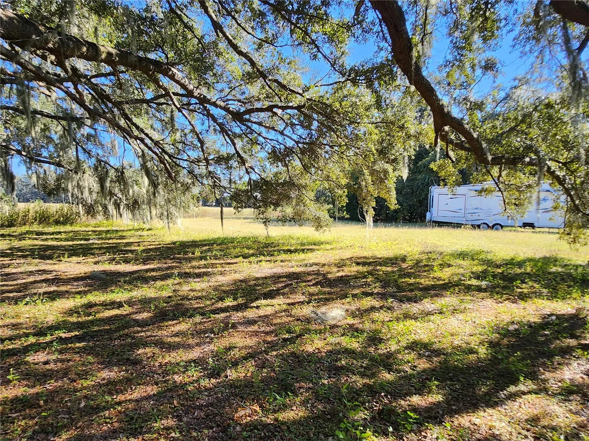 Tbd SW 175 Court Dunnellon FL 34432