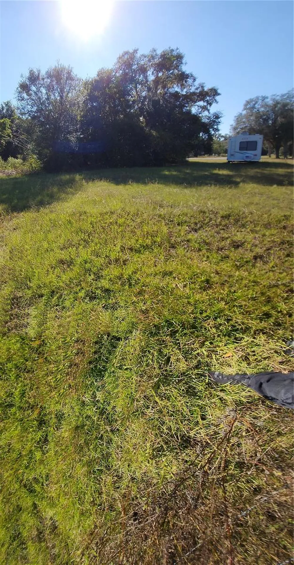 Tbd SW 175 Court Dunnellon FL 34432