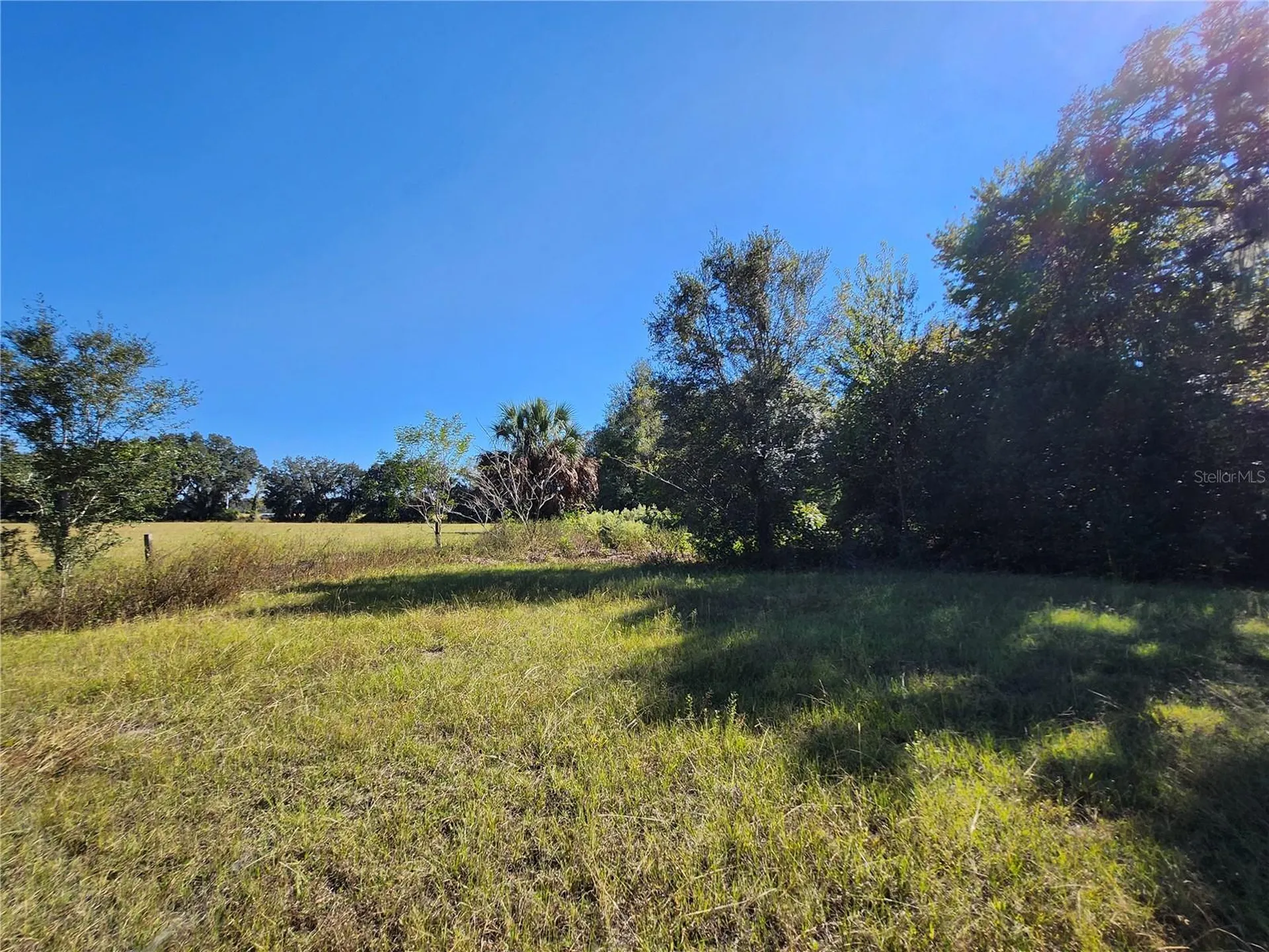 Tbd SW 175 Court Dunnellon FL 34432