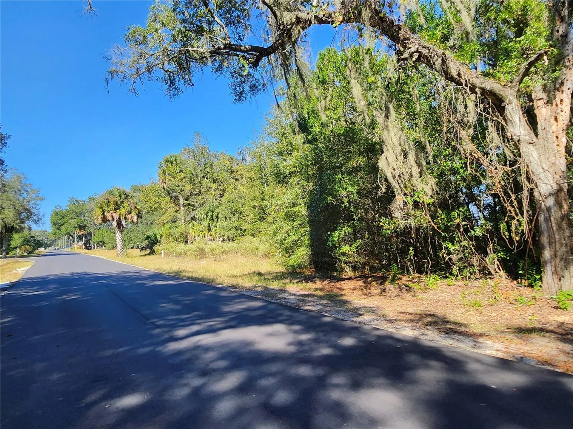 Tbd SW 175 Court Dunnellon FL 34432