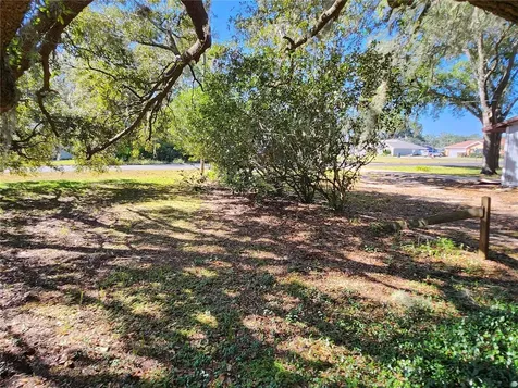 Tbd SW 175 Court Dunnellon FL 34432