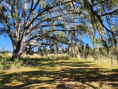 Tbd SW 175 Court Dunnellon FL 34432