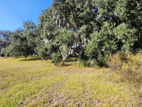 Tbd SW 175 Court Dunnellon FL 34432