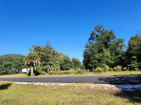 Tbd SW 175 Court Dunnellon FL 34432