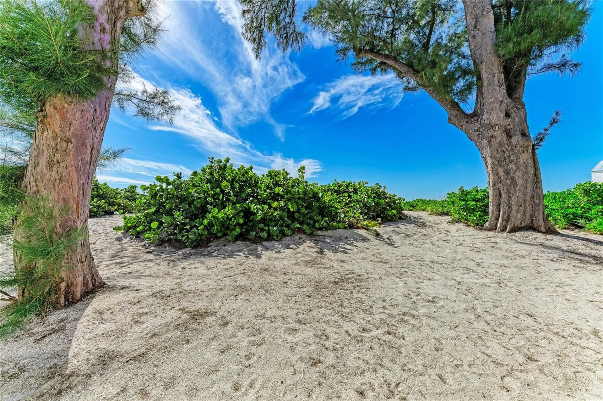 101 73rd Street Holmes Beach FL 34217
