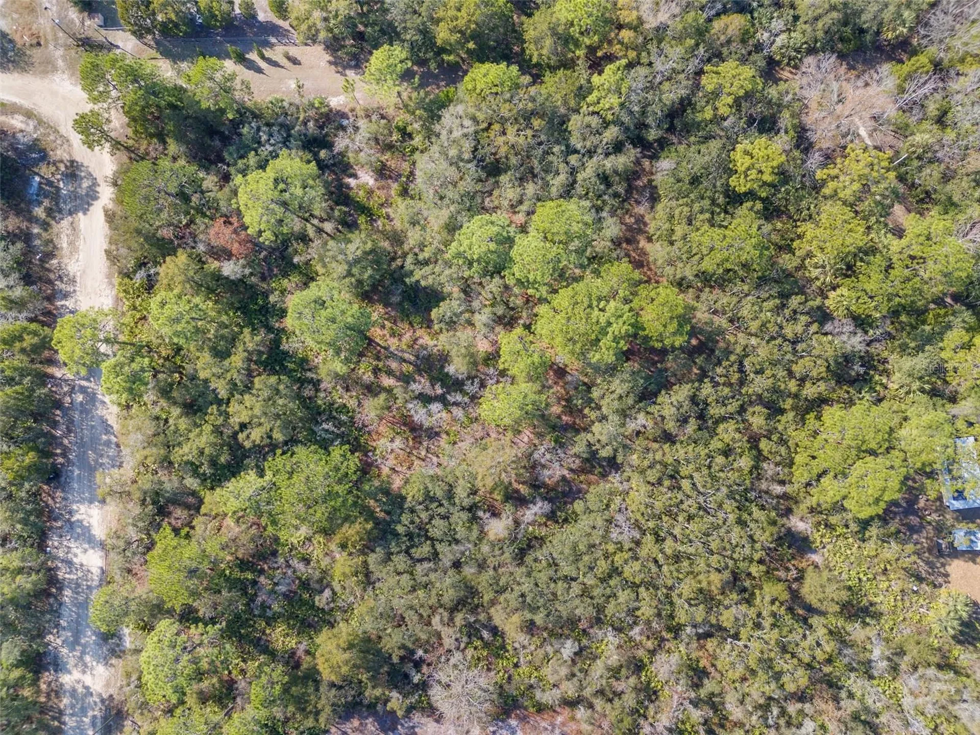 419 N Vesper Point Crystal River FL 34429
