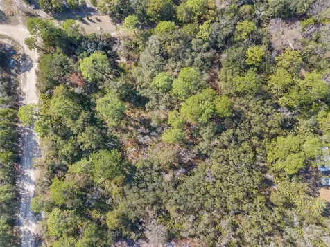419 N Vesper Point Crystal River FL 34429