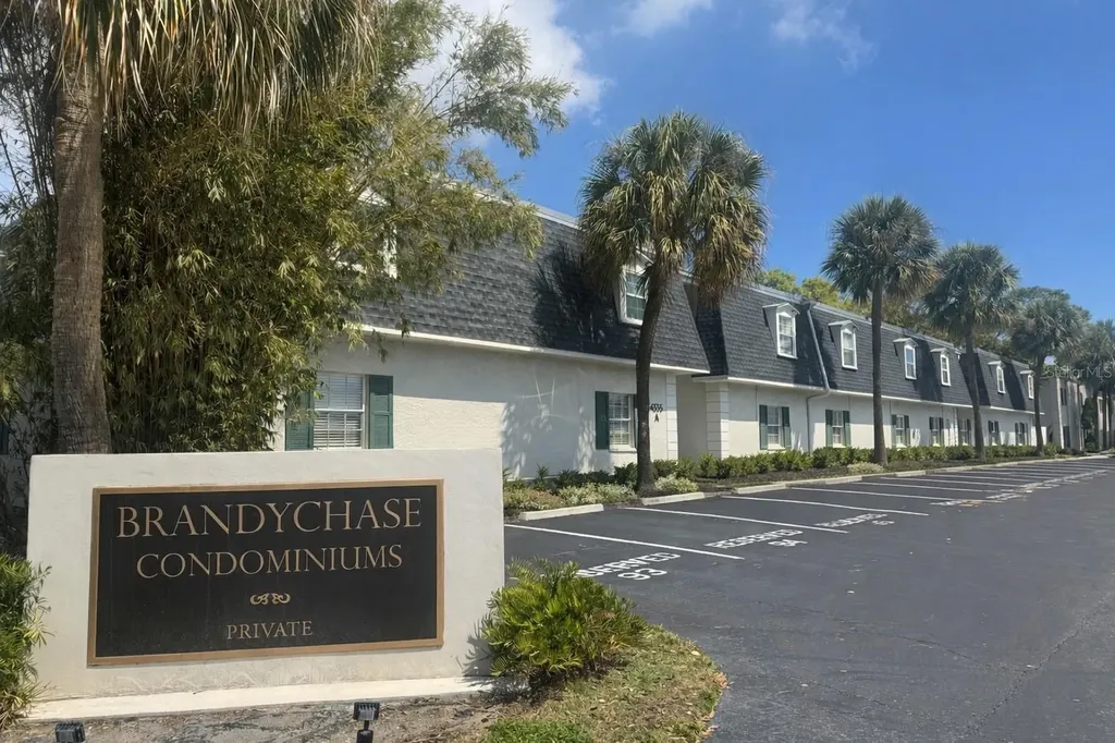 4335 Aegean Drive Tampa FL 33611