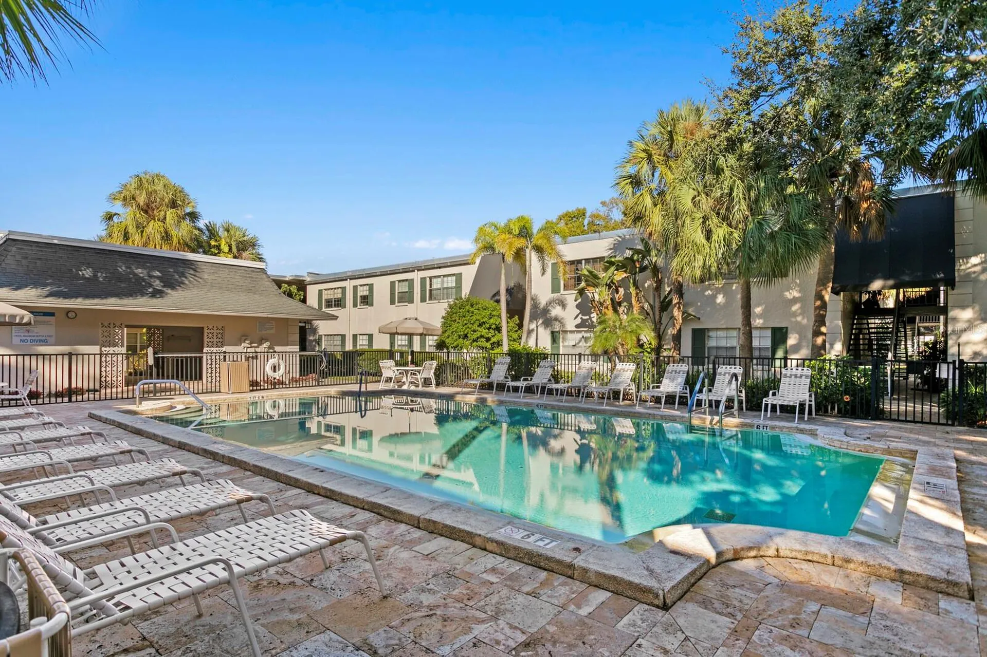 4335 Aegean Drive Tampa FL 33611