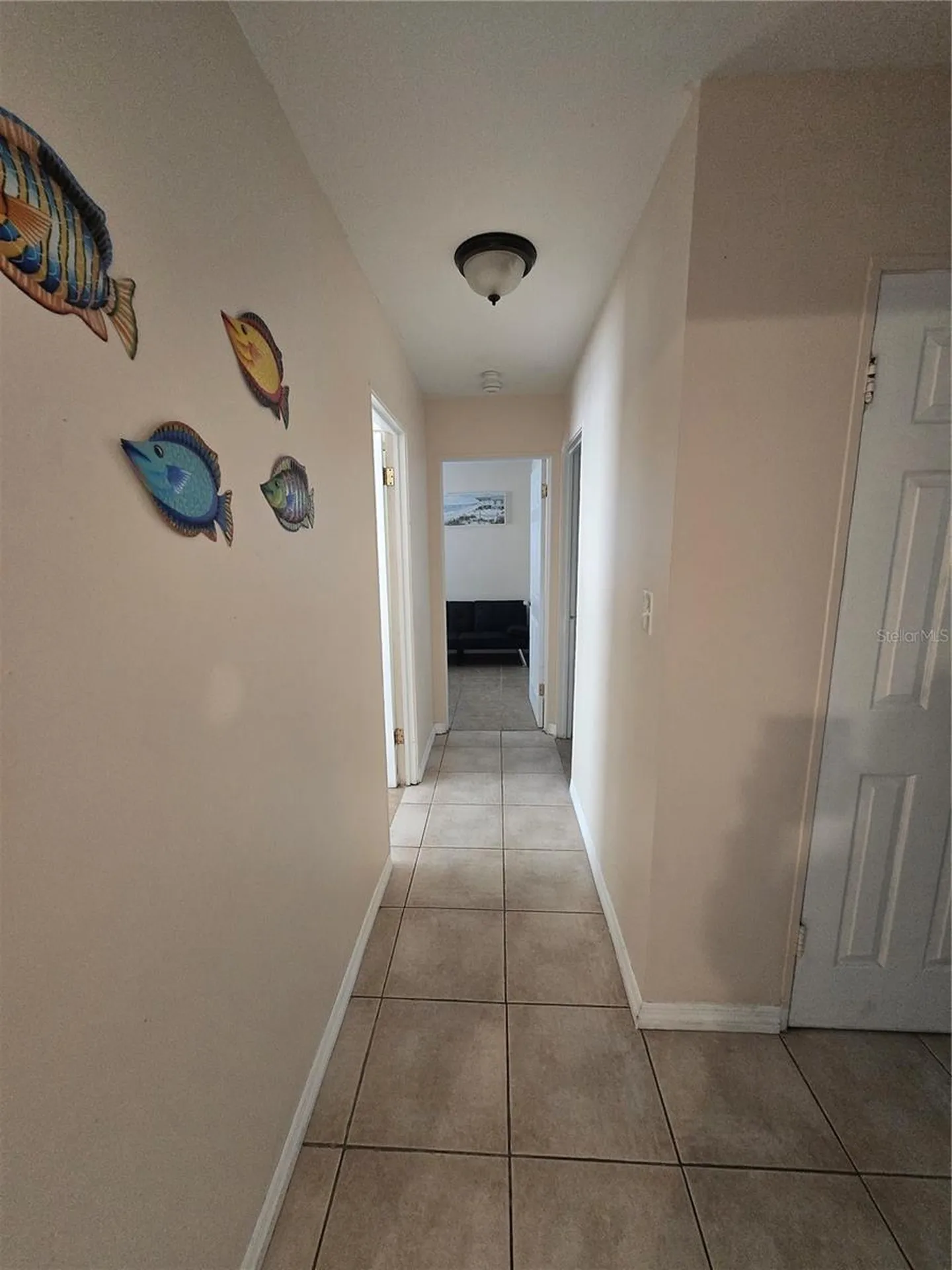 Largo FL 33771