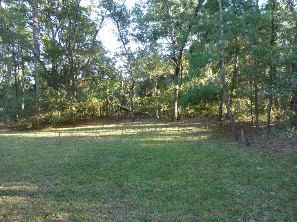 5 Asparagus Court Homosassa FL 34446
