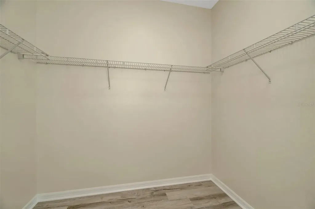 12542 Candleberry Circle Tampa FL 33635