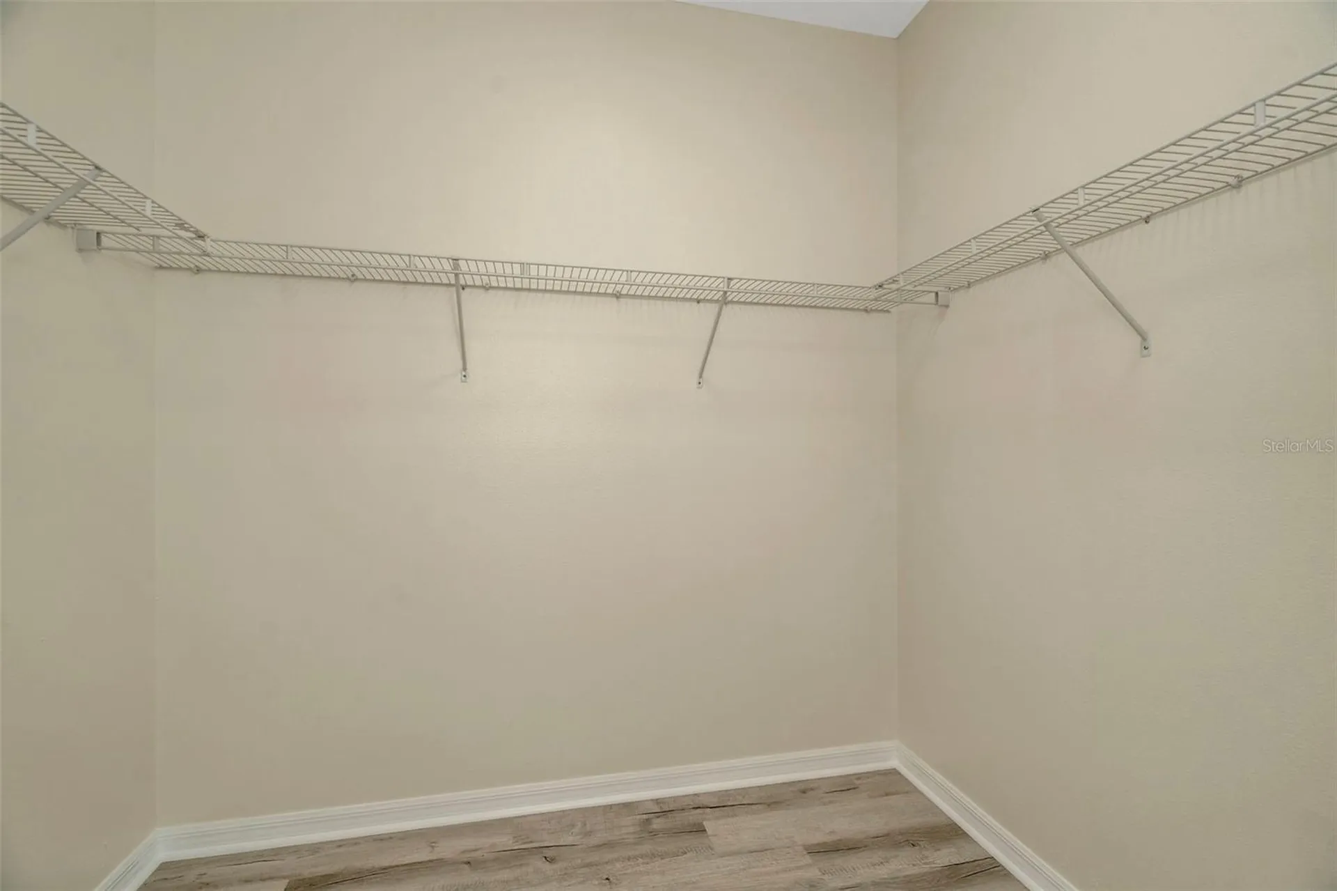 12542 Candleberry Circle Tampa FL 33635
