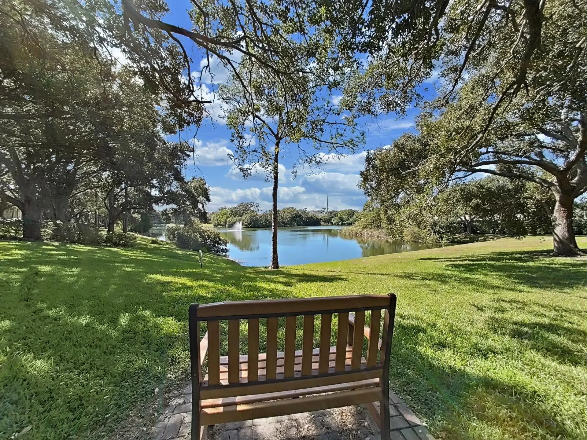 2690 Coral Landings Boulevard Palm Harbor FL 34684
