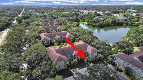 2690 Coral Landings Boulevard Palm Harbor FL 34684