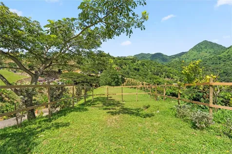 Bo. Hoyos Planes Carr. 531 Km Hm7 Jayuya PR 00664
