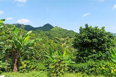 Bo. Hoyos Planes Carr. 531 Km Hm7 Jayuya PR 00664