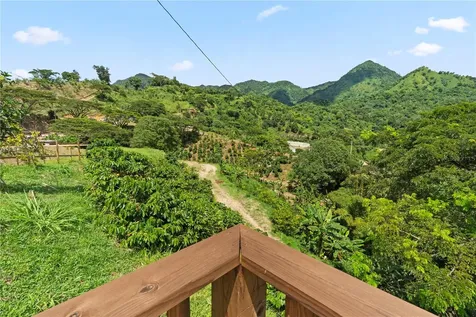 Bo. Hoyos Planes Carr. 531 Km Hm7 Jayuya PR 00664