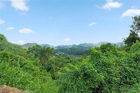 Bo. Hoyos Planes Carr. 531 Km Hm7 Jayuya PR 00664