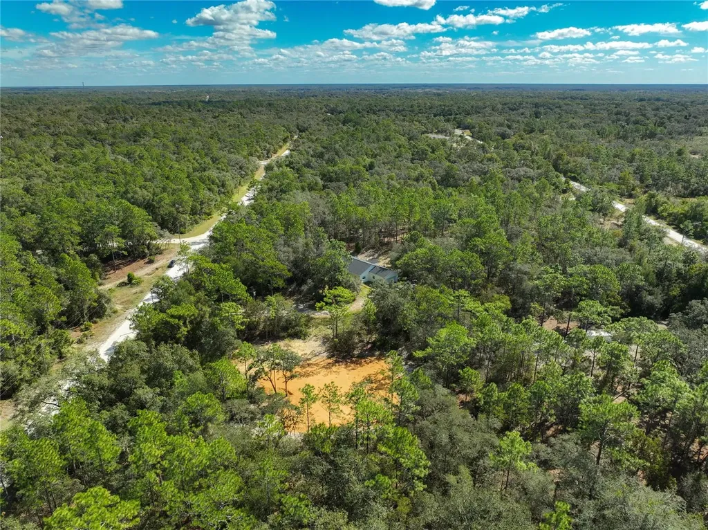 33216 Teakwood Drive Webster FL 33597