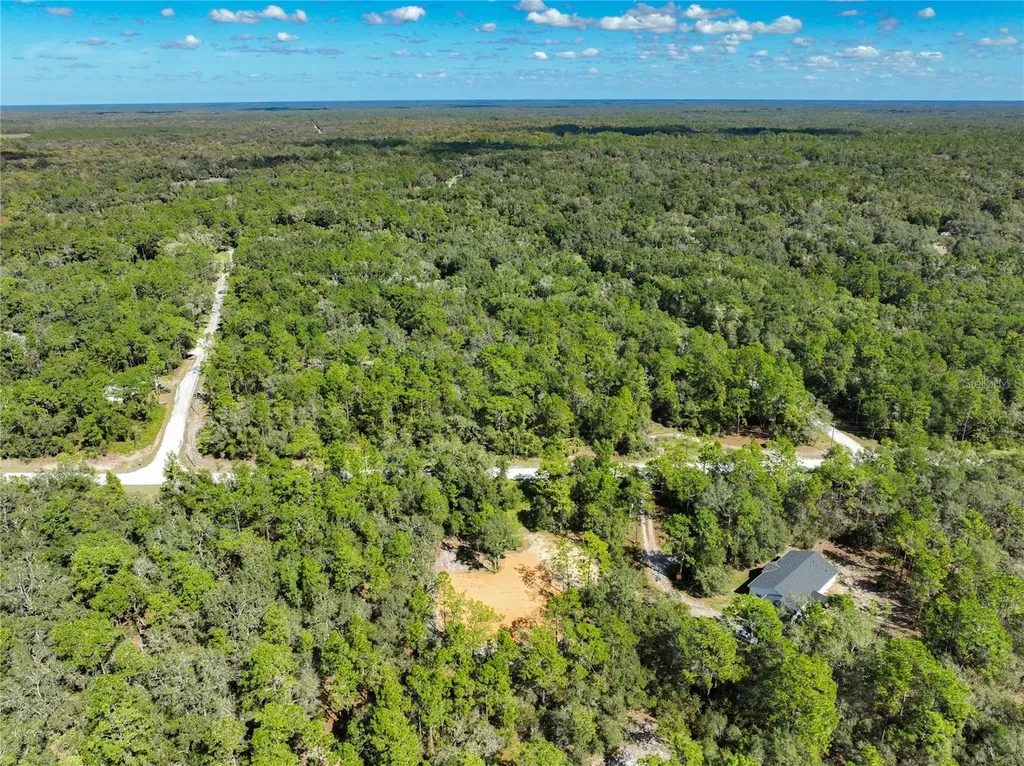 33216 Teakwood Drive Webster FL 33597