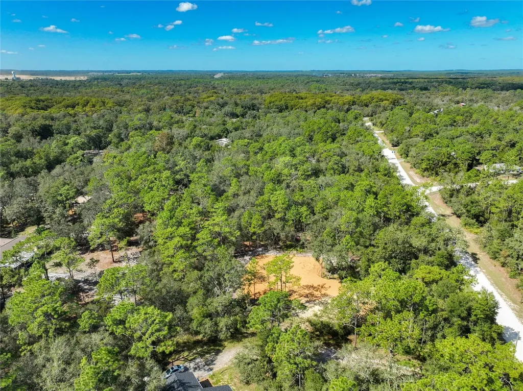 33216 Teakwood Drive Webster FL 33597
