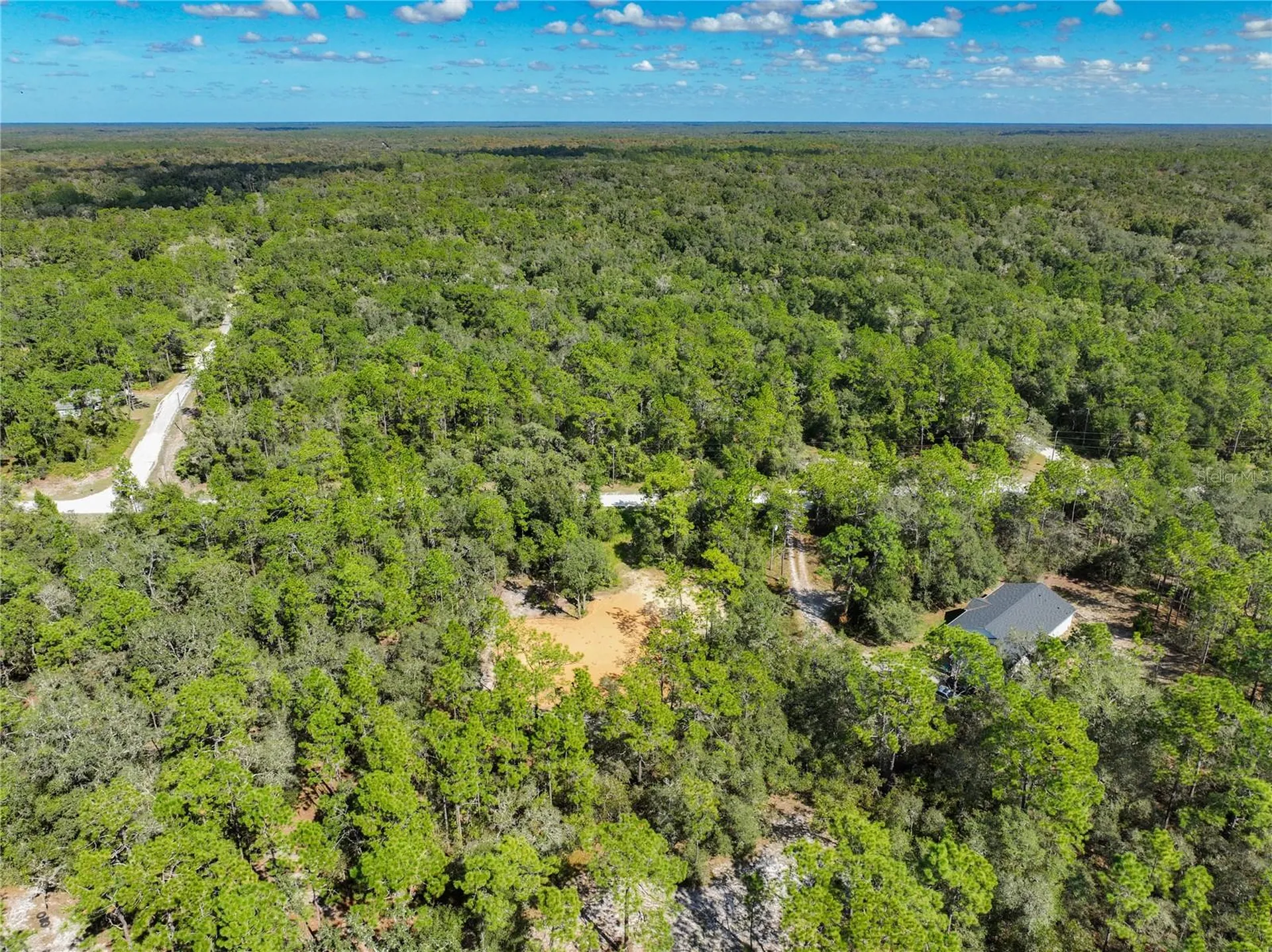 33216 Teakwood Drive Webster FL 33597