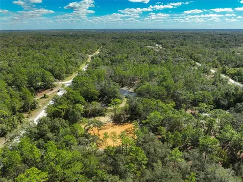 33216 Teakwood Drive Webster FL 33597
